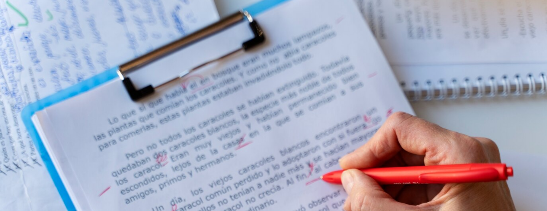 The Importance of a Good Translation of Legal Documents